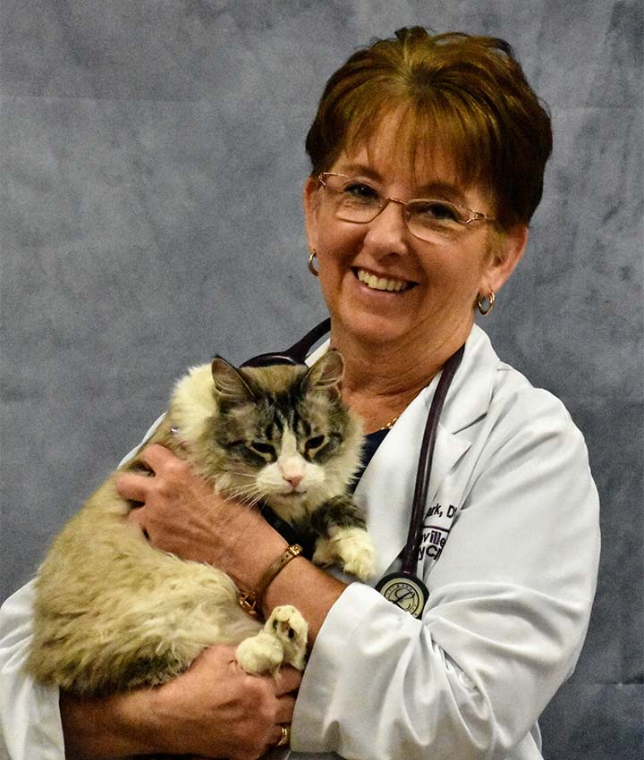 Tammy Clark
