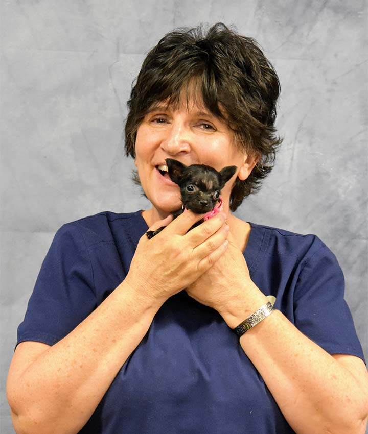Teresa Daisley
